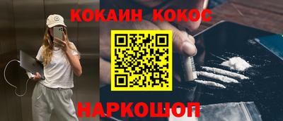 шишки Гай