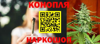 трава Гатчина