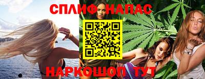 шишки Гай