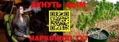 трава Гатчина