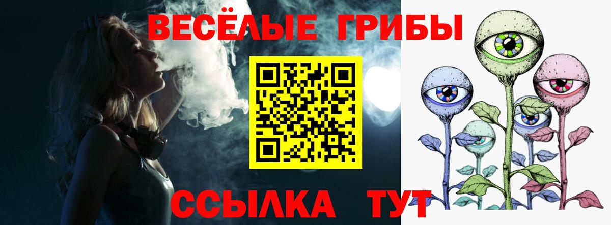 Орехово-Зуево  Псилоцибиновые грибы Cubensis  Вход с VPN 